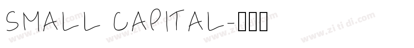 SMALL CAPITAL字体转换